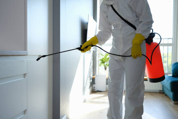 Best Commercial Mold Remediation in Lonville, GA